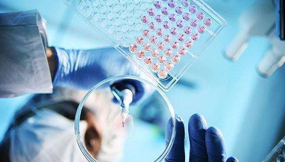 BE机构降价求生：价格战背后发生了什么？