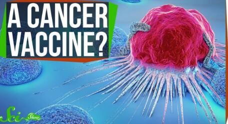 全球疫苗研究进展：癌症疫苗受关注攀升，中国论文专利数位列第二