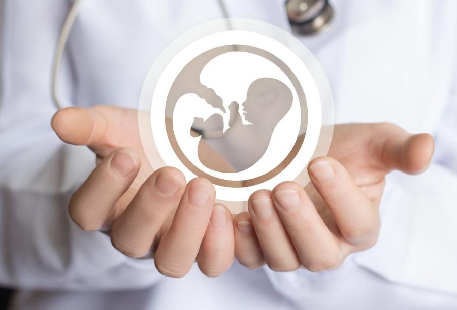 “民营辅助生殖第一股”今日港交所上市，募资28亿港元