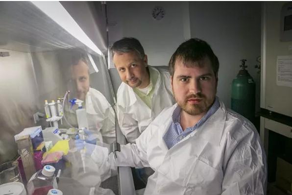 新干预手段或能阻止癌症的耐药性