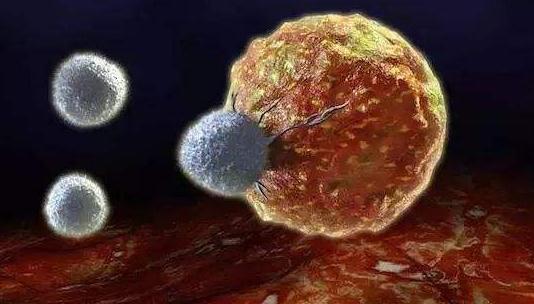 溶瘤病毒产业发展现状与挑战