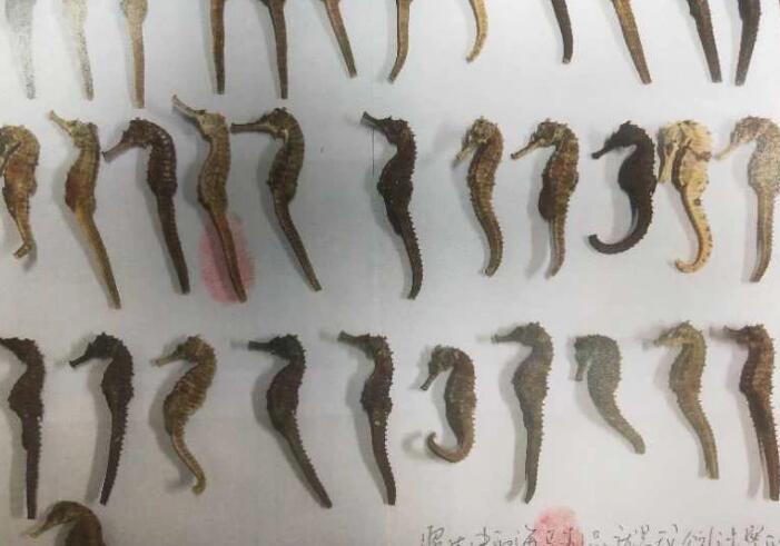 只因买了这一传统中药材，药房主管被判刑