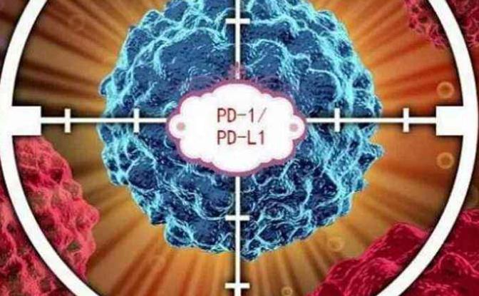 6款PD-L1抗体在中国进入临床后期 哪些肿瘤患者将获益？