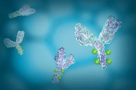 中国抗体拟赴港IPO，有望摘下国内首个CD22单抗药物