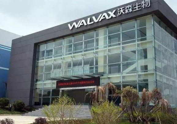 沃森生物董事长被举报，曾违规套现1.9亿吃监管函，市值蒸发10亿