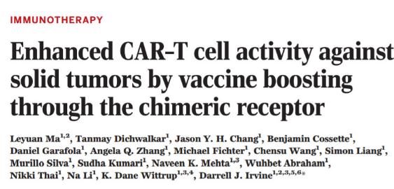 抗癌疫苗再获突破 60%小鼠肿瘤可“完全清除”