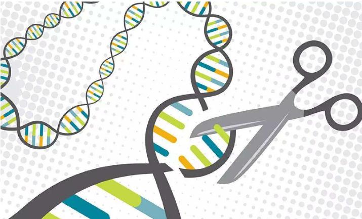 Science：CRISPR先驱张锋又一突破，新技术扩展了RNA编辑功能