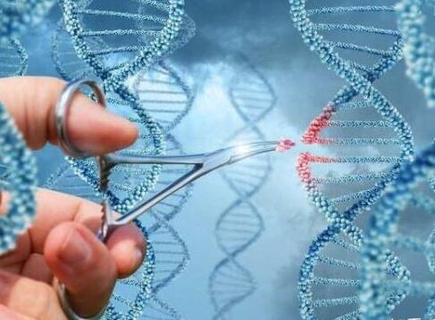 基因编辑公司启函生物获超 2000 万美元融资  