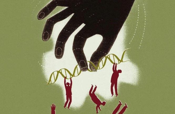 基因编辑里程碑：张锋创立的Editas公司正式启动全球首个人体CRISPR基因编辑临床试验