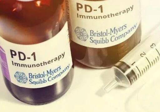 上市5年 龙争虎斗！2019年PD-(L)1单抗市场趋势分析