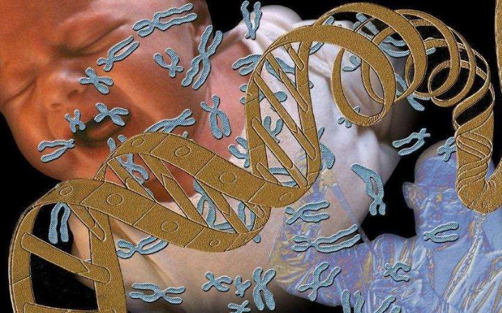 应对独特挑战，细胞和基因疗法公司需要什么样的人才？