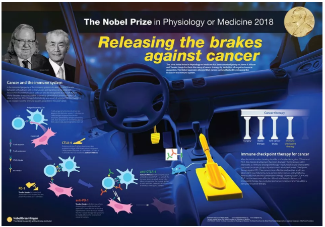 重磅！诺奖组合再显神威，双免疫联合治疗肺癌新突破