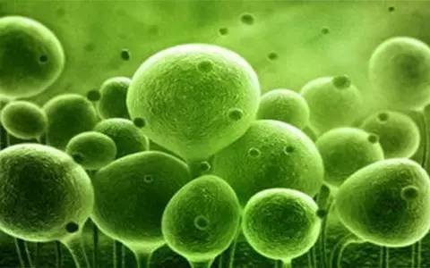 启愈生物完成数千万元A轮融资，专注大分子生物药研发