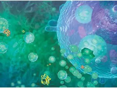 别光盯着PD-1/L1，肿瘤免疫疗法的这些方向也可能成为爆款！