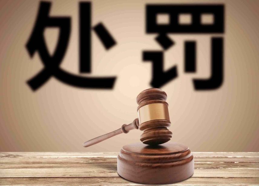 康美药业财务造假处罚结果公布 证监会罕见定性