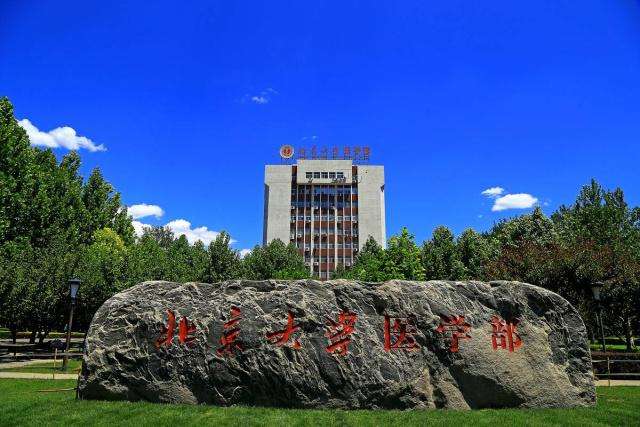 亳州一中校长回应8人弃清北：报道不完整，有望上北大医学部