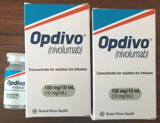 PD-(L)1靶向药及其在肺癌领域的临床研究进展分析