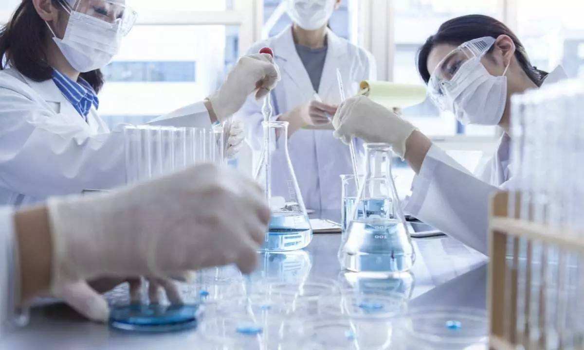 中国生物制药行业 “寒武纪大爆发”的五个要素（上篇）