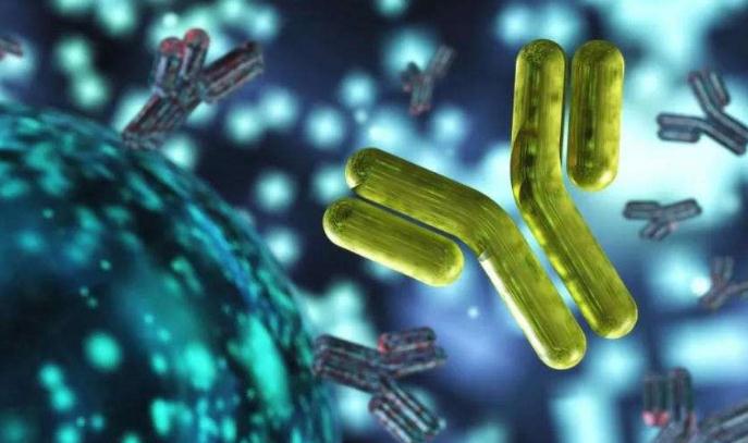 2019年国内抗体药物市场和临床研究现状