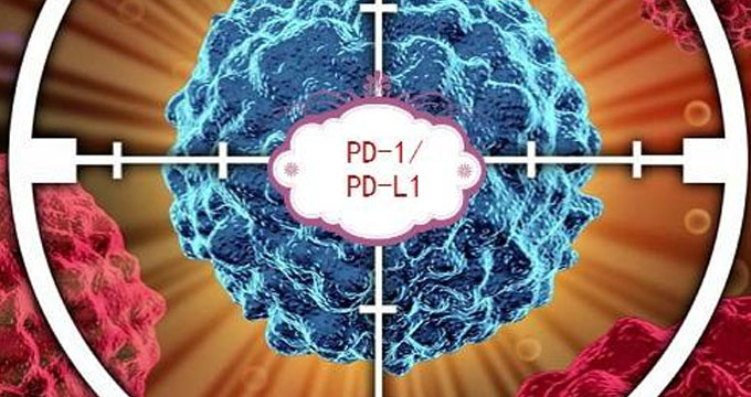 两个国产PD-1的最新销售数据公布，进入医保有望吗
