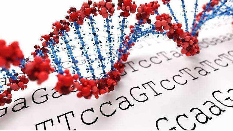 FDA警告基因检测公司指导个性化用药的背后