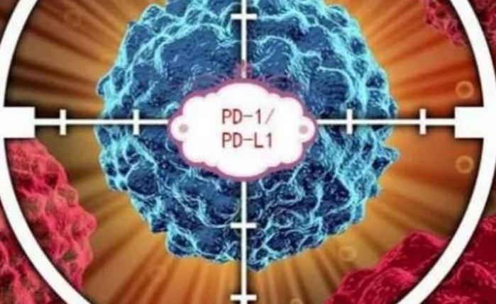 我国首个PD-L1检测试剂盒获批上市