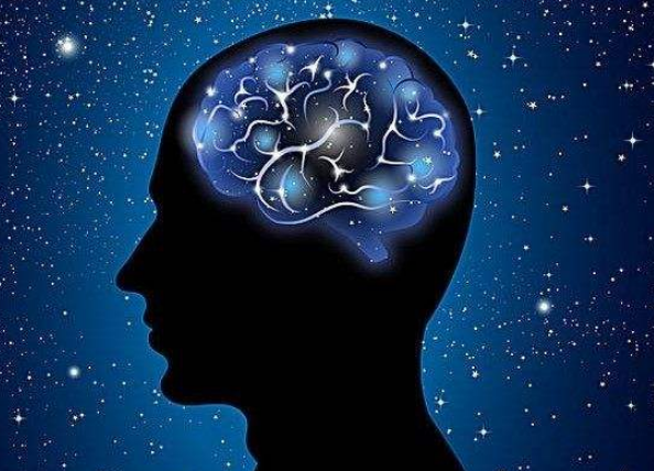 微型人造大脑首次产生类似早产儿脑电波信号，神经元或已建立数十亿个连接