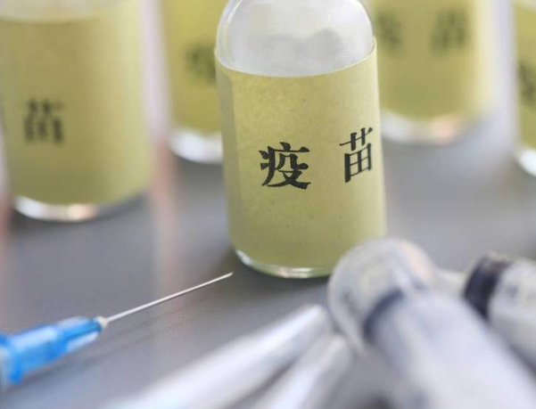 疫苗行业研究分析