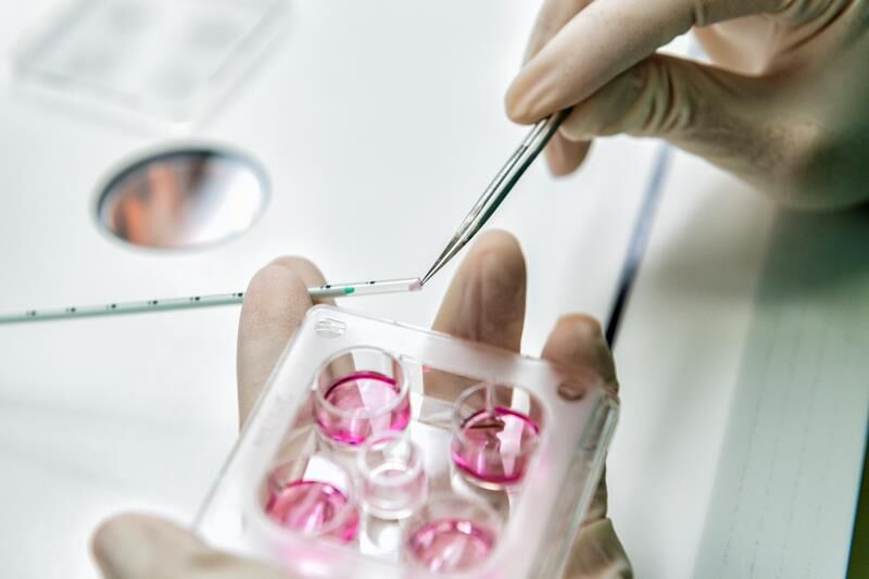 中国首例卵巢组织冷冻移植健康宝宝诞生