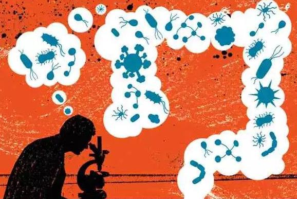 研究表明肠道细菌可提高流感疫苗在临床试验中的疗效