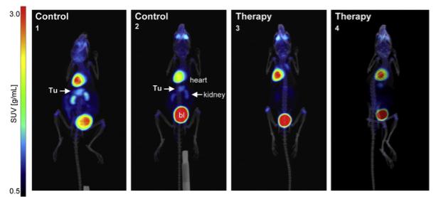 利用正电子发射断层和计算机断层成像（PET/CT）辅助临床前肿瘤研究