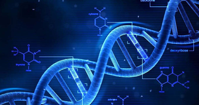 博雅辑因完成8150万元Pre-B2轮融资，已累计获得超10亿元融资
