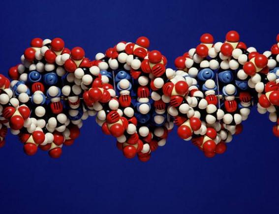 CRO公司临床研究监查盲区在哪里？