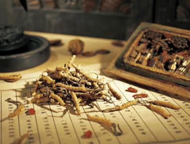 中药监管 两大问题急需解决