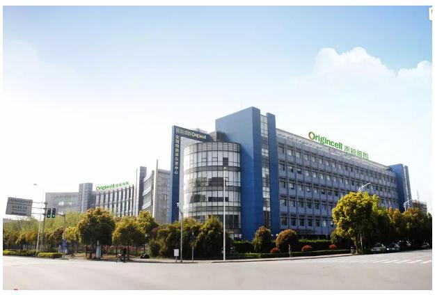 这个衔枚疾进的细胞产业园终于澎湃而出，绽放张江