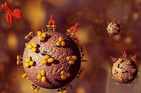 我国病毒清除/灭活验证行业发展研究