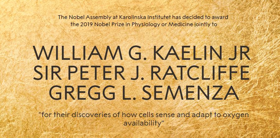 2019年诺贝尔生理学或医学奖正式揭晓，因为“氧气”而获奖