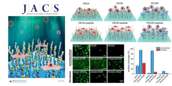 华理科研团队在生物材料表面调控细胞行为研究领域取得突破