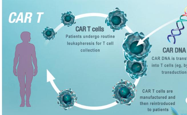 CAR-T治疗实体瘤设计策略解析
