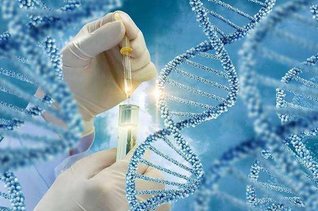 肿瘤用药基因检测纳入医保，千亿市场放量第一步，“圈院运动”开战！