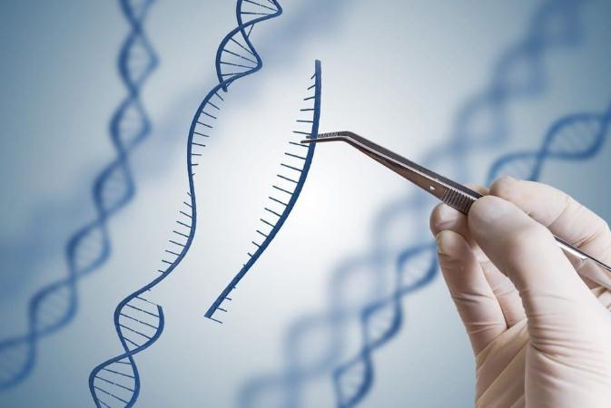 成立3年赴美IPO却“可能永远无法盈利” 基因编辑还能诱人多久？