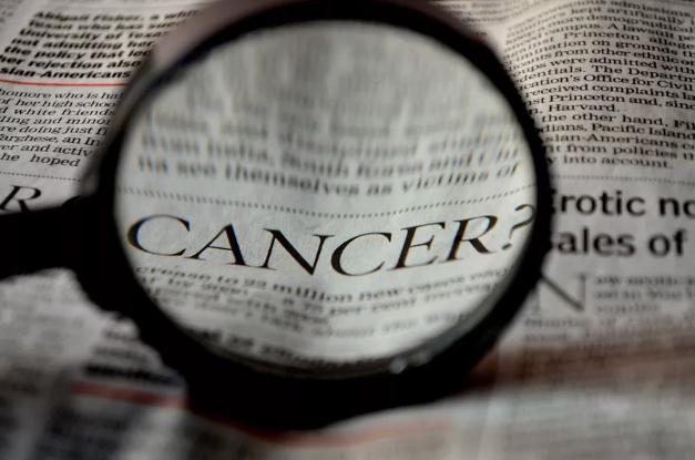 Nature深度综述：解密癌细胞的“逃脱绝技”