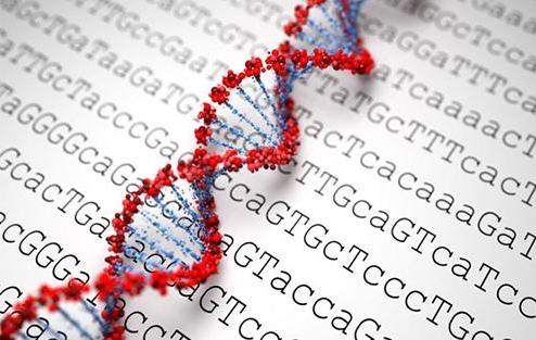 Nature重磅：科学家在人类癌症基因组非编码区域中鉴别出关键的致癌突变