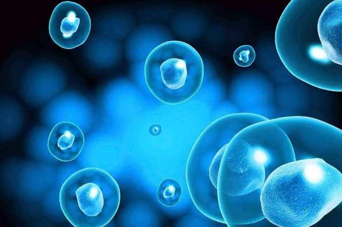 双轨制下，118家机构62个干细胞临床研究项目完成备案