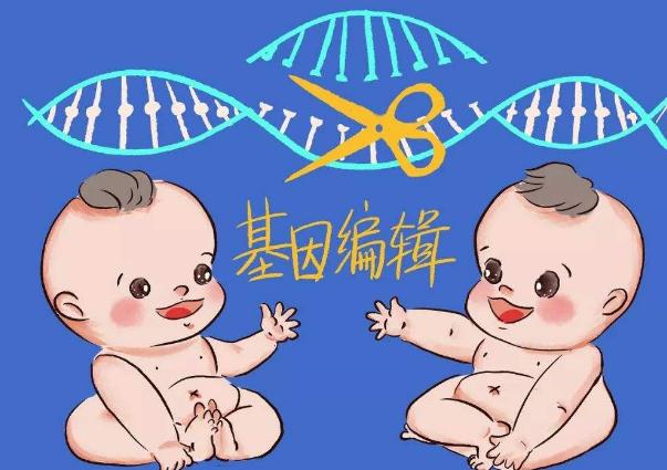 主动撤回论文：CRISPR基因编辑婴儿可能会早逝的研究出现错误