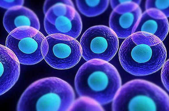 第一期，CDE发布《细胞治疗产品申报临床试验药学研究问题与解答》