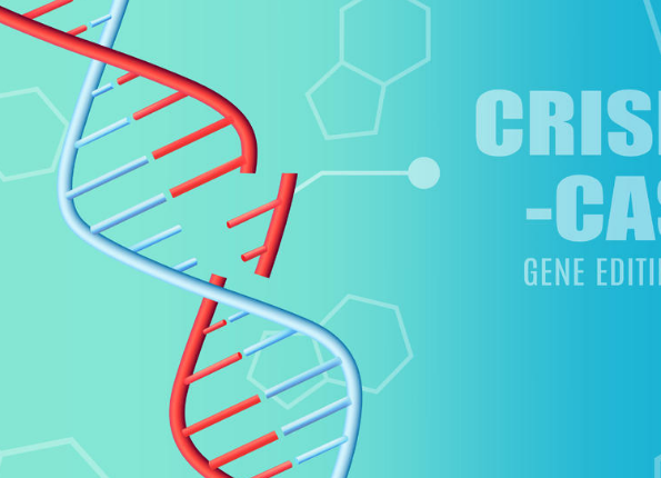 量身定制的基因疗法或带来个性化医疗新时代