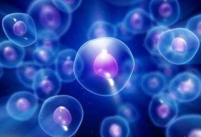 最新数据！我国已完成备案的62个干细胞临床研究项目