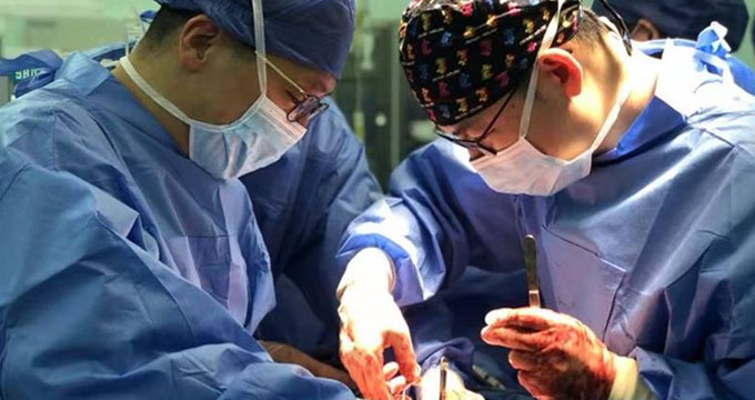 没有完美的肺供体，只有与死神赛跑的医生