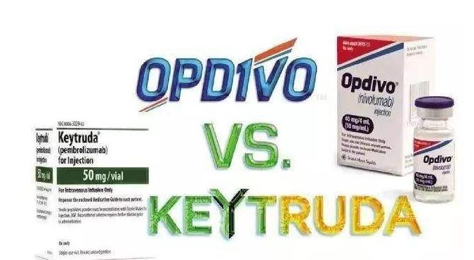 K药、O药押注肺癌一线治疗 本土PD-1胶着 上半年各家成绩如何？